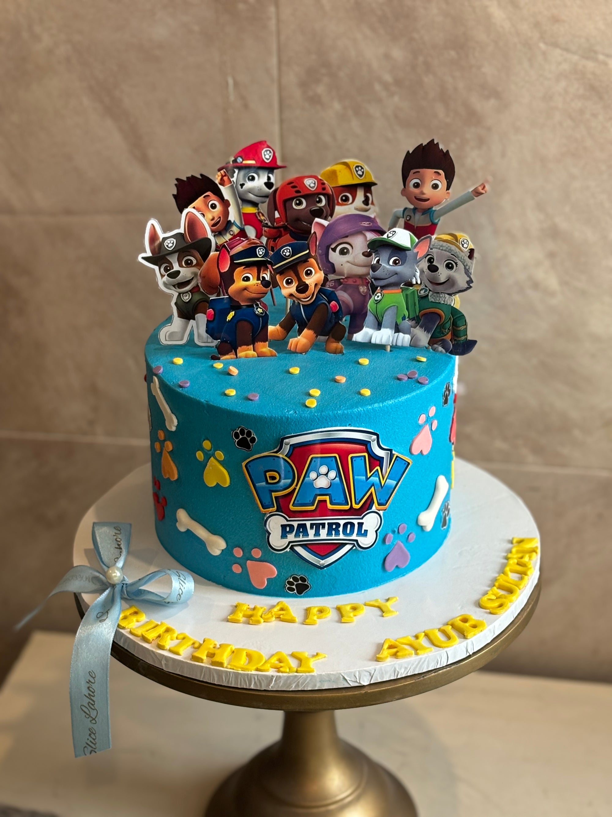 Paw Patrol Adventure Cake (2 lbs)
